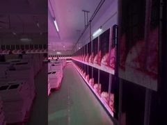 LED Transparan Grille Screen Sewa Acara Kaca Tirai Tampilan Jendela P3.91 Untuk P7.82