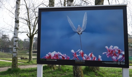 P4mm Outdoor Led Video Walls Tampilan Layar Iklan IP65 62500 Dots / M2 CCC