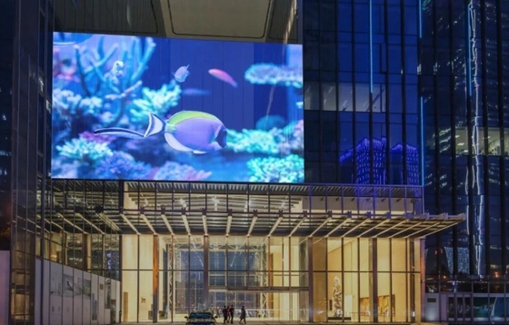 ISO14001 Interactive Creative Transparan Led Window Display ODM 1/11 Scan